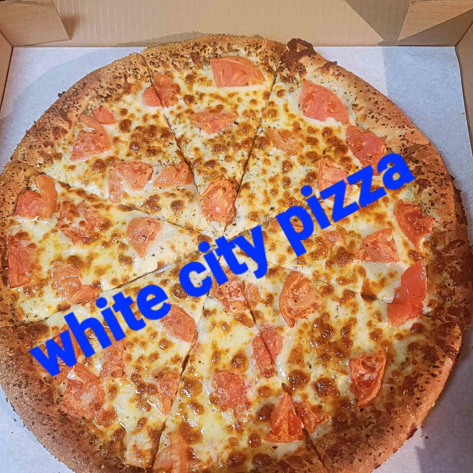 Large 16" White City Pizza