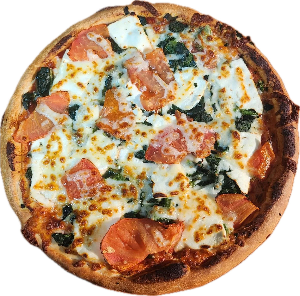 Large 16 Mediterranean Pizza